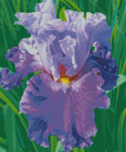 Purple Bearded Iris Diamond Painting