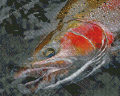 Steelhead Fish In Water Diamond Painting