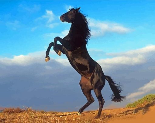 The Black Stallion Diamond Painting