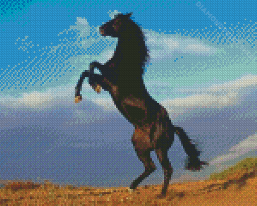 The Black Stallion Diamond Painting