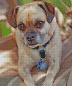 The Chug Dog Diamond Painting