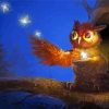 The Magic Owl Bird Diamond Painting