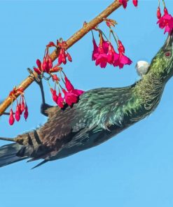 Tui Bird Eating Diamond Painting