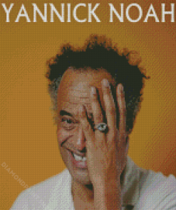 Yannick Noah Poster Diamond Painting