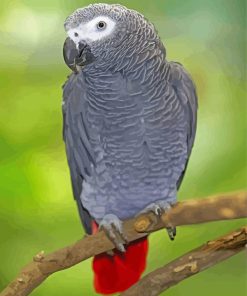 Aesthetic African Gray Parrot Diamond Painting
