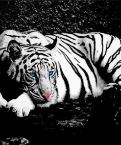 Aesthetic Black And White Tiger Animal Diamond Painting