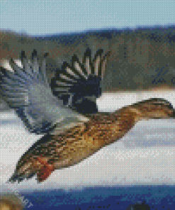 Aesthetic Duck Flying Diamond Painting