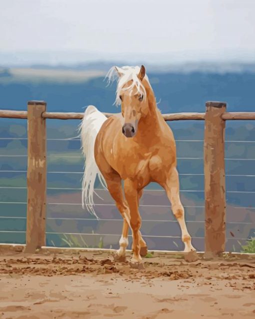 Aesthetic Palomino Horse Diamond Painting