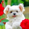 Aesthetic Puppy With Rose Diamond Painting