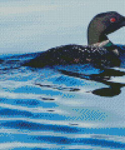 Bird Loon On Lake Diamond Painting