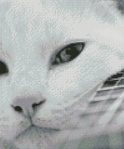 Black And White Guitar And Cat Diamond Painting