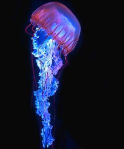 Blue And Purple Jellyfish Diamond Painting