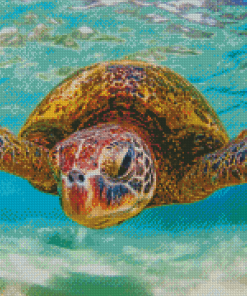 Cool Hawaii Turtle Diamond Painting