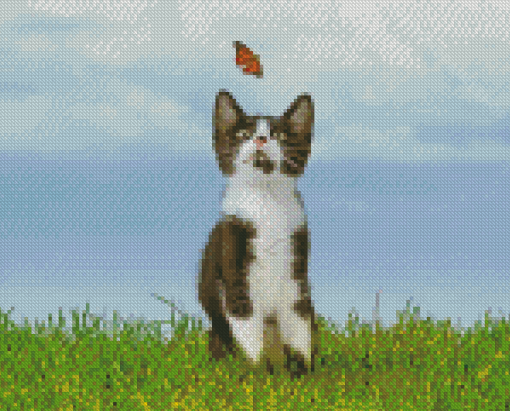 Cool Kitten With Buterflight Diamond Painting