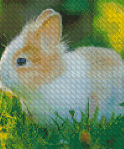 Cute Baby Bunny Diamond Painting