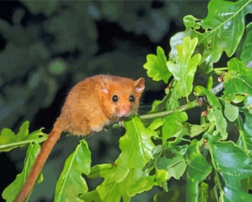 Dormouse On Tree Diamond Painting