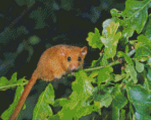 Dormouse On Tree Diamond Painting