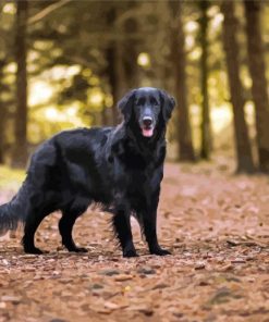 Flat Coated Retriever In The Forest Diamond Painting