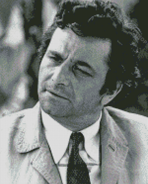 Monochrome Peter Falk Diamond Painting