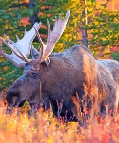 Moose Wildlife Animal Diamond Painting