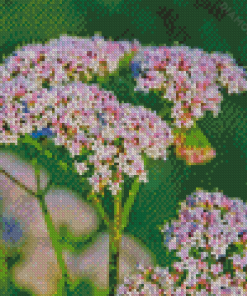 Valerian Plant Diamond Painting