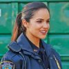 Amy Santiago Brooklyn 99 Serie Diamond Painting