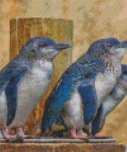 Australian Fairy Penguin Birds Diamond Painting