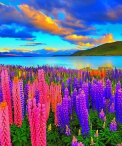 Beautiful Lupines Field Nature Diamond Painting