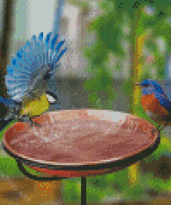 Birds And Garden Diamond Painting
