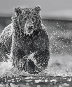 Black And White Bear Wildlife Diamond Painting