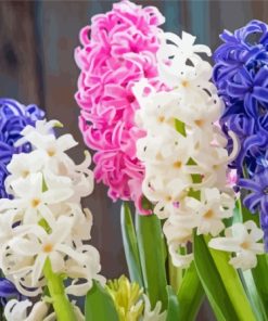 Blue White And Pink Hyacinth Diamond Painting