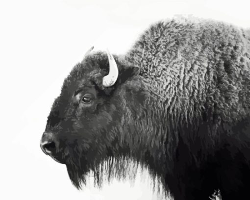 Buffalo Black And White Animal Diamond Painting