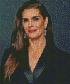 Classy Actress Brooke Shields Diamond Painting