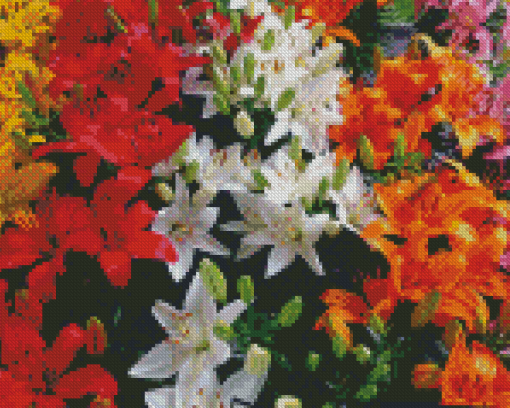 Colorful Lilies Flowers Diamond Painting