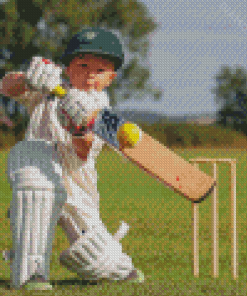 Cricket Boy Diamond Painting