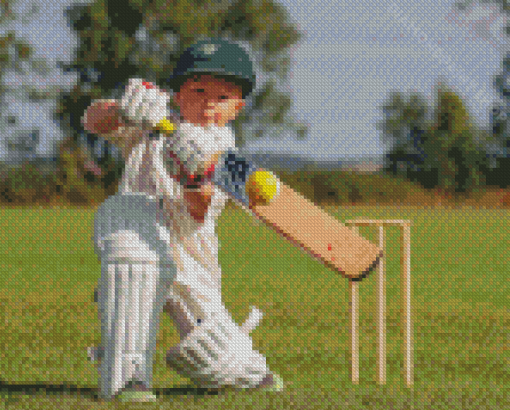 Cricket Boy Diamond Painting