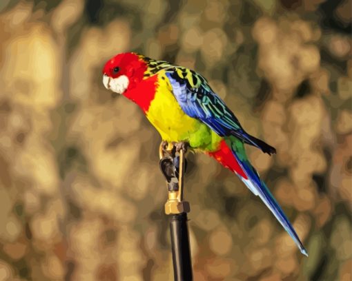 Eastern Rosella Diamond Painting