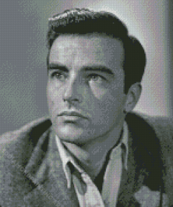 Edward Montgomery Clift Actor Diamond Painting