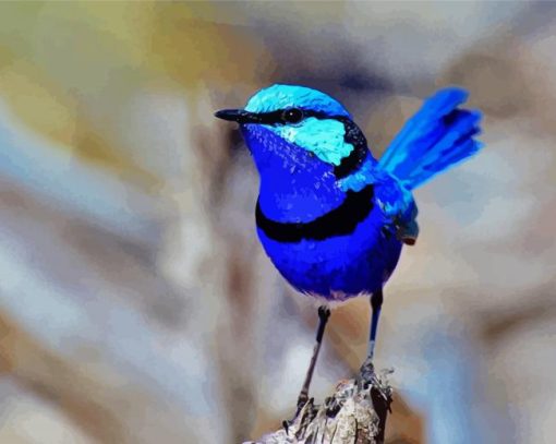 Fairy Wren Bird Diamond Painting