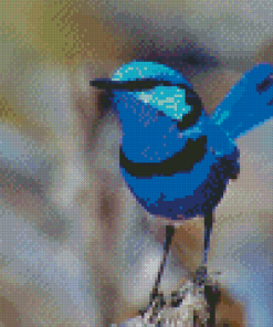 Fairy Wren Bird Diamond Painting