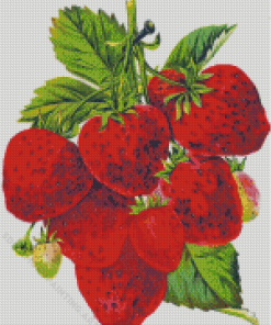 Fresh Vintage Strawberry Diamond Painting