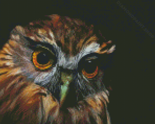 Morepork Owl Bird Diamond Painting