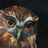 Morepork Owl Bird Diamond Painting