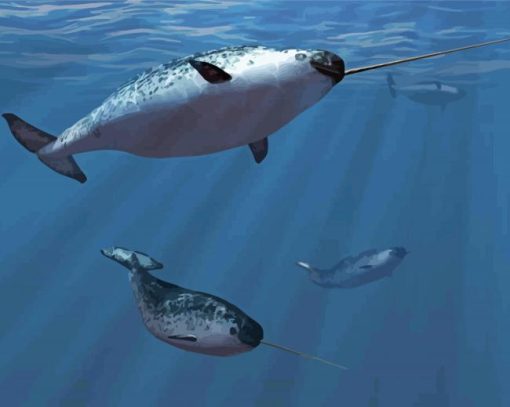 Narwhal Underwater Animals Diamond Painting