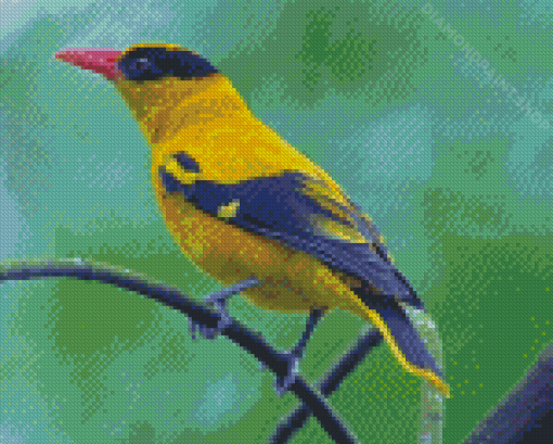 Old World Orioles Diamond Painting