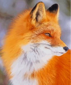 Orange Fox Face Diamond Painting