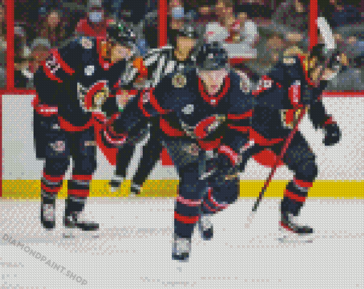 Ottawa Senators Ice Hockey Team Diamond Painting