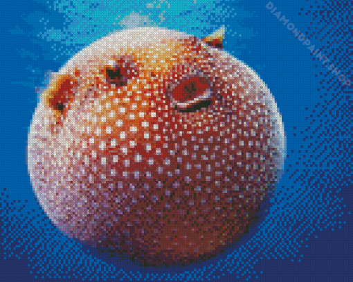 Puffer Fish Diamond Painting