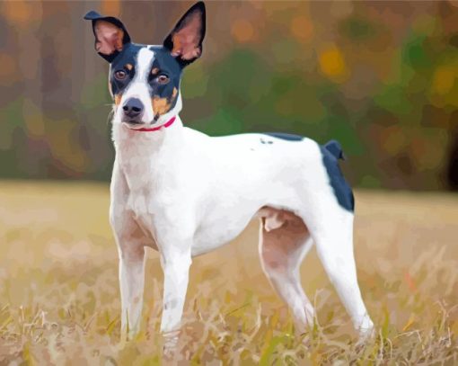 Rat Terriers Puppy Diamond Painting