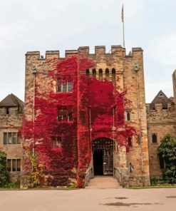 Red Plant On Hever Castle Wall Diamond Painting